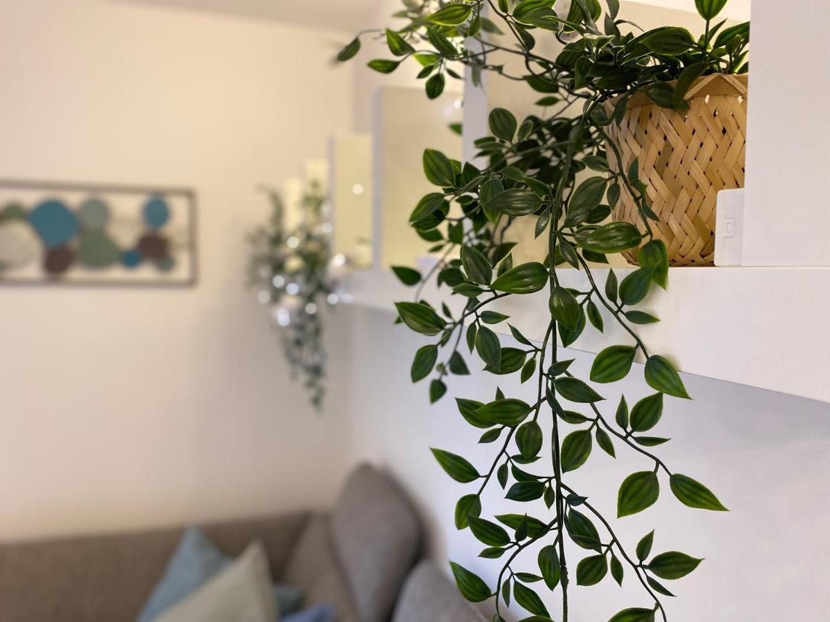Apartment Above Lake ブレッド エクステリア 写真
